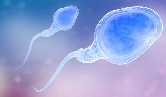 Spermatozoa مرد کے پری انزال میں موجود ہو سکتا ہے۔